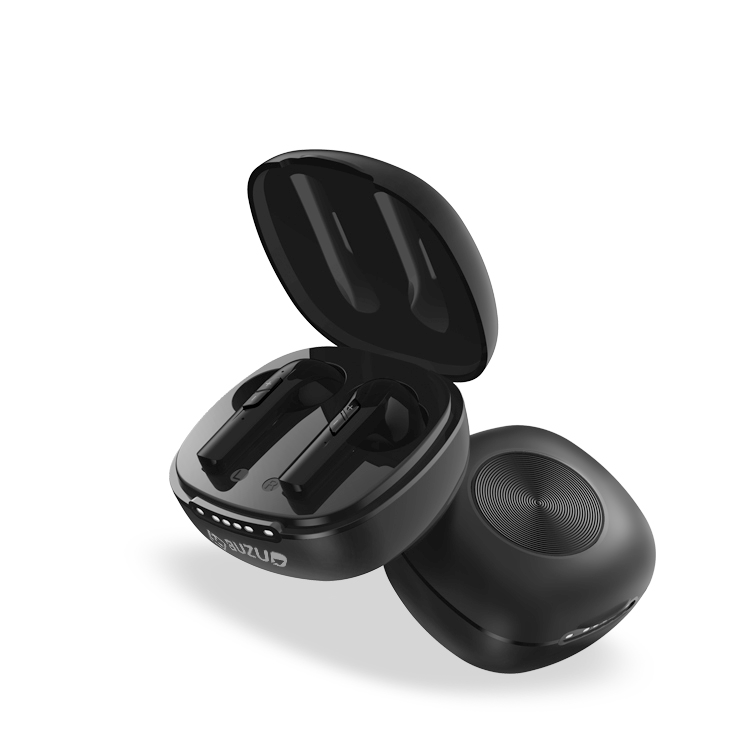 Hearing Aid W6(black)