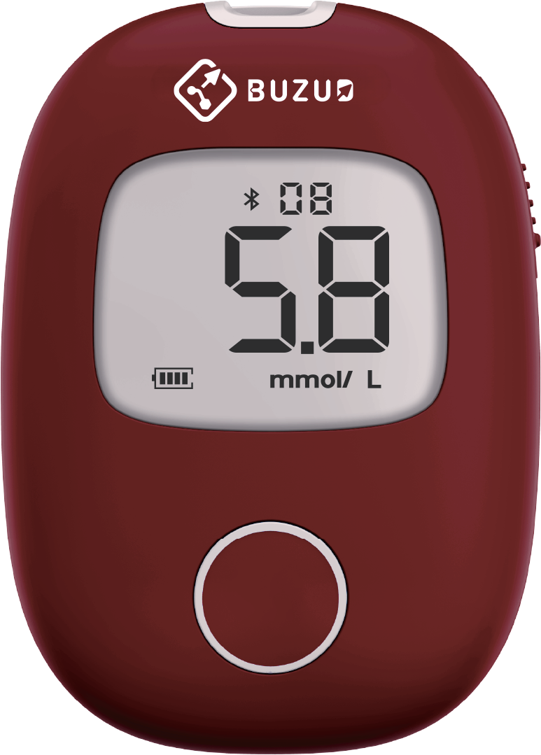 GlucoInsight Lite set